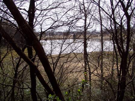 view from the trail