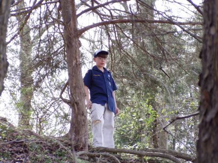 King of the hill