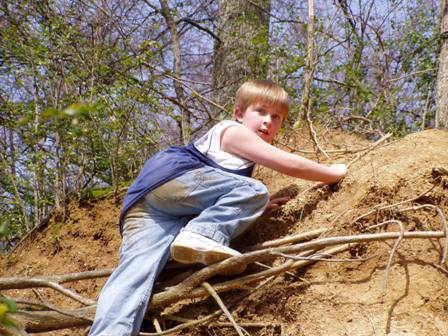 Climbing the Cliff