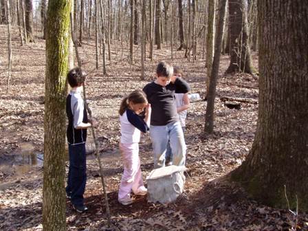 Reading about the Black Oak